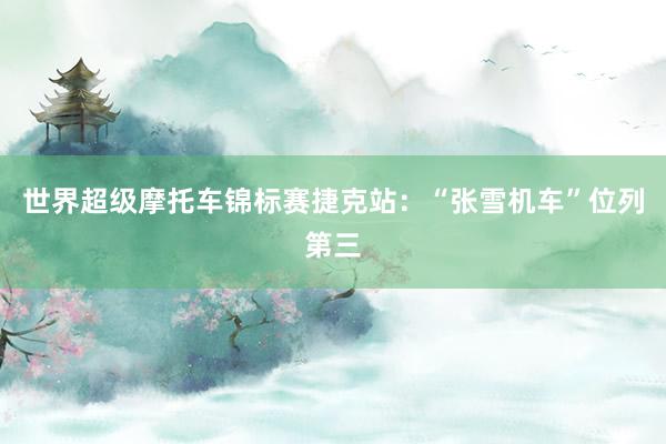 世界超级摩托车锦标赛捷克站：“张雪机车”位列第三